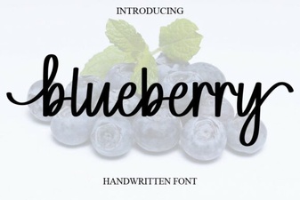 Blueberry Fonts for Creative Design Projects